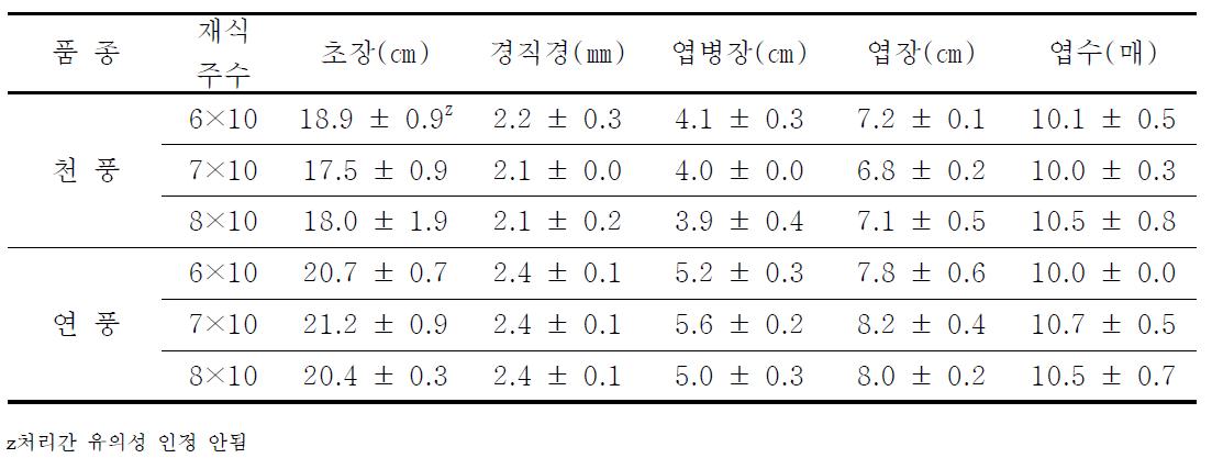 천풍과 연풍 3년생 지상부 생육상황