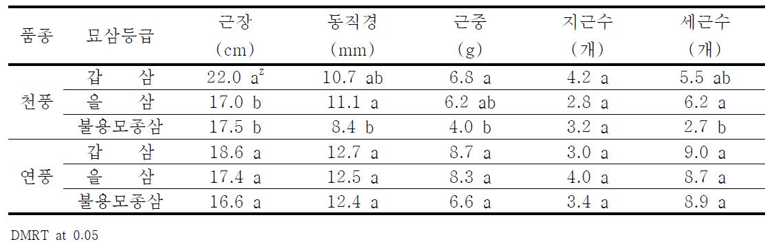 등급별 인삼 3년근 지하부 생육상황