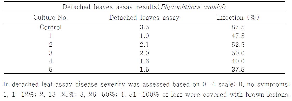 Detached leaves assay results for rhizosphere and nonrhizosphere