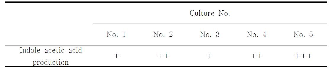 Isolates were produced indole acetic acid