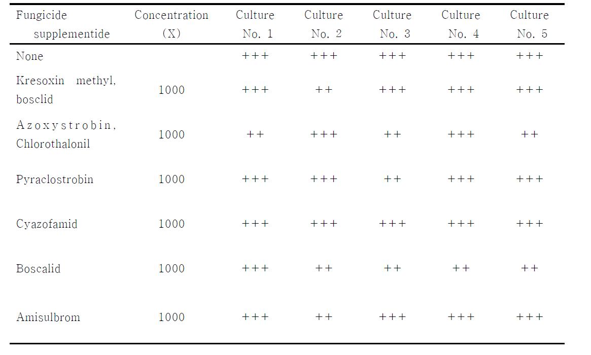 Investigation of reactivity by best isolates and chemical synthetic pesticide