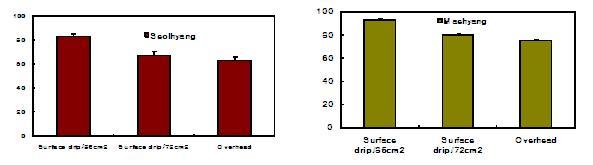 Effect of surface drip irrigation on % of high quality daughter plants.