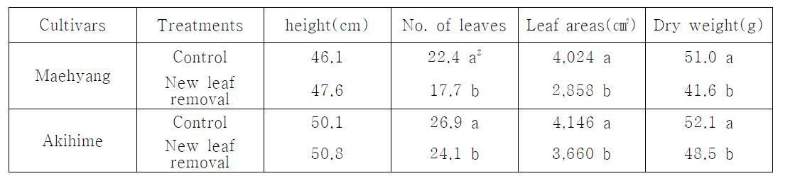 Effect of new leaf removal on marketable yield of strawberry.