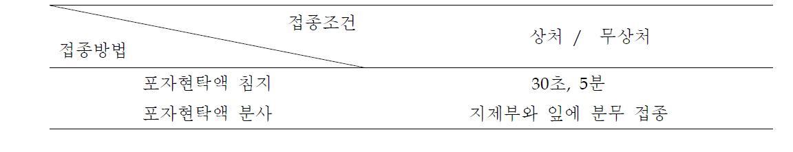 병원성 실험에서의 접종조건