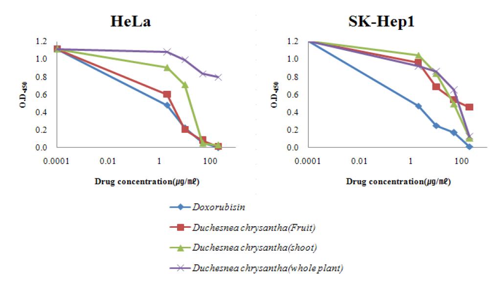 뱀딸기의 부위별 항암활성 (HeLa, SK-Hep1)