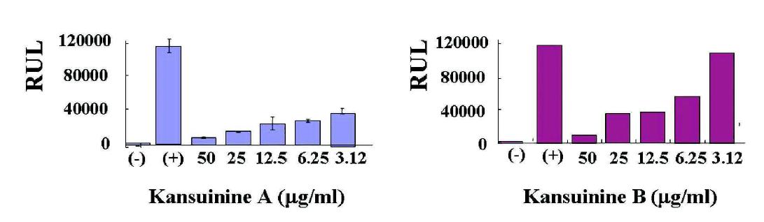감수로부터 분리한 Kansuinine A와 B의 IL-6저해 활성