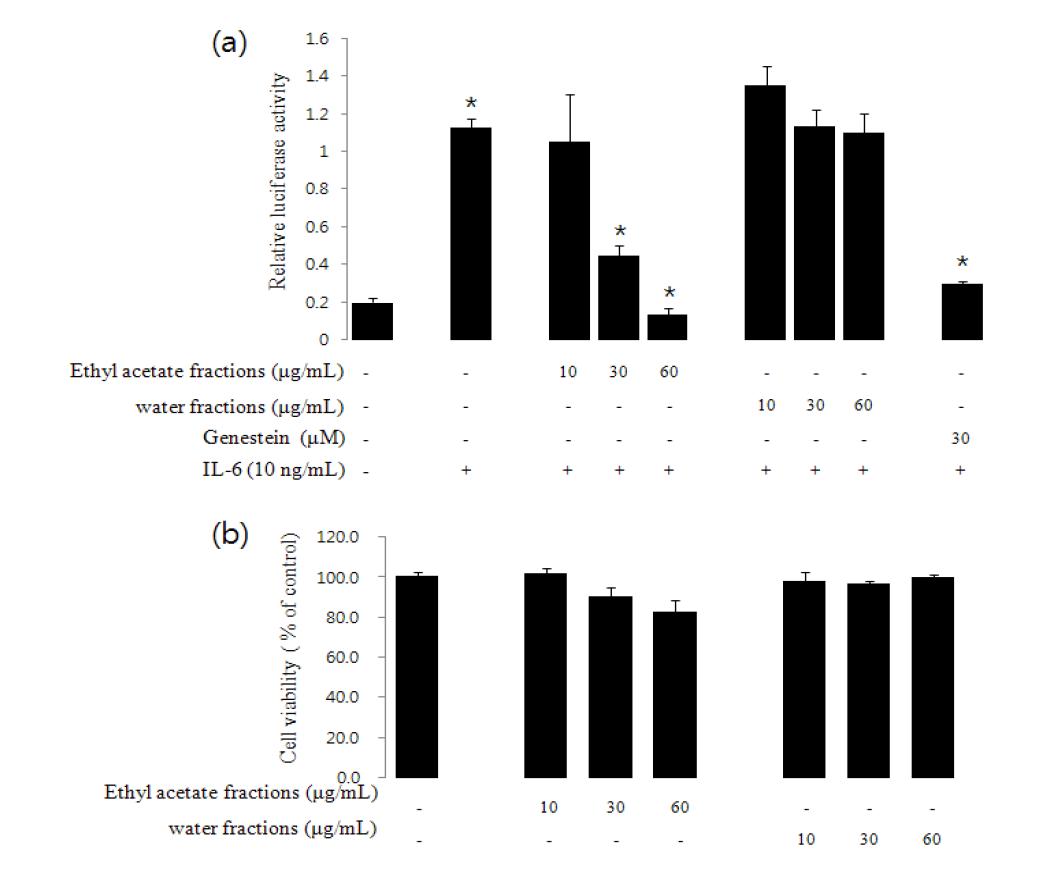 강황 분획물의 IL-6 유도 Stat3-dependent luciferase 활성 억제 및 세포독성 효과