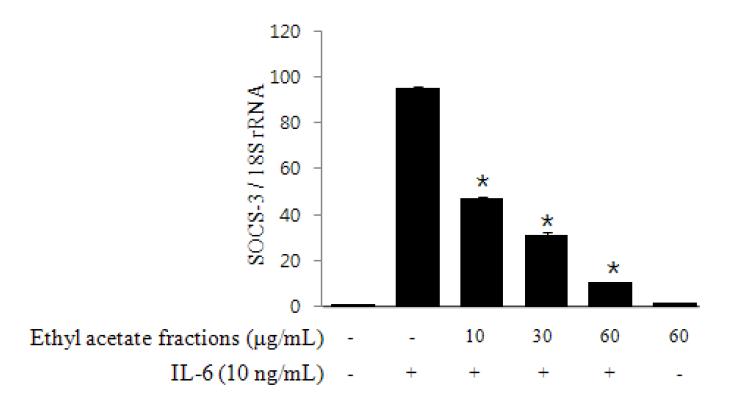 강황 에틸아세테이트 분획물의 IL-6 유도 SOCS-3 mRNA 발현 억제 효과