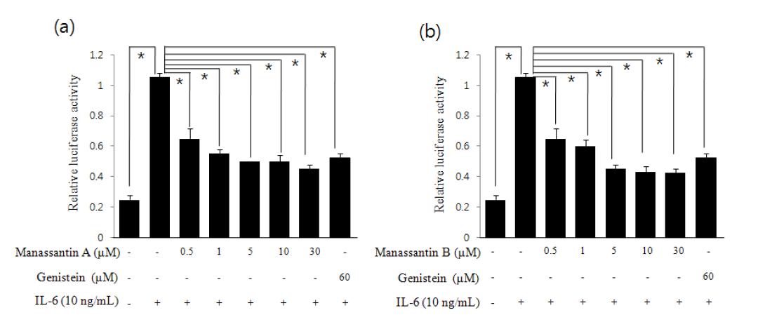 Manassantin A와 B의 IL-6 유도 Stat3-dependent luciferase 활성 억제 효과