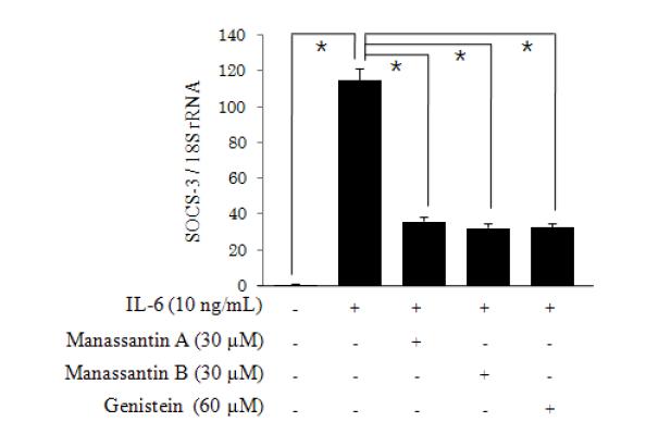 Manassantin A와 B의 IL-6 유도 SOCS-3 mRNA 발현 억제 효과