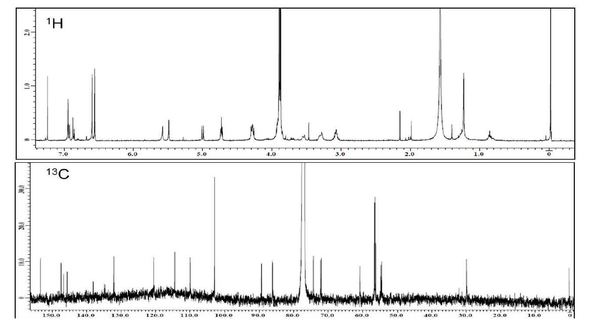 느티나무로부터 분리정제된 ZS-1의 NMR 스펙트럼