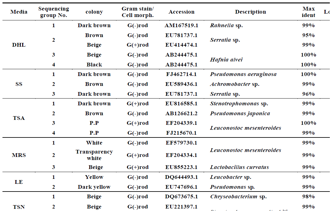 Identification of the isolates from salted Chinese cabbage