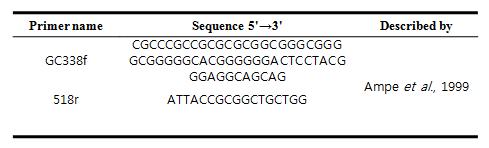 Primers designed for the detection V3 region in 16S rRNA