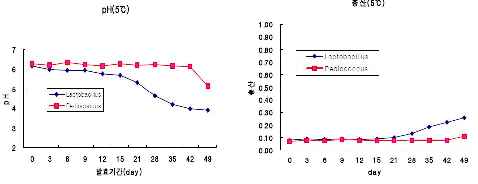 5℃에서 배추즙 발효 중 pH와 총산 변화