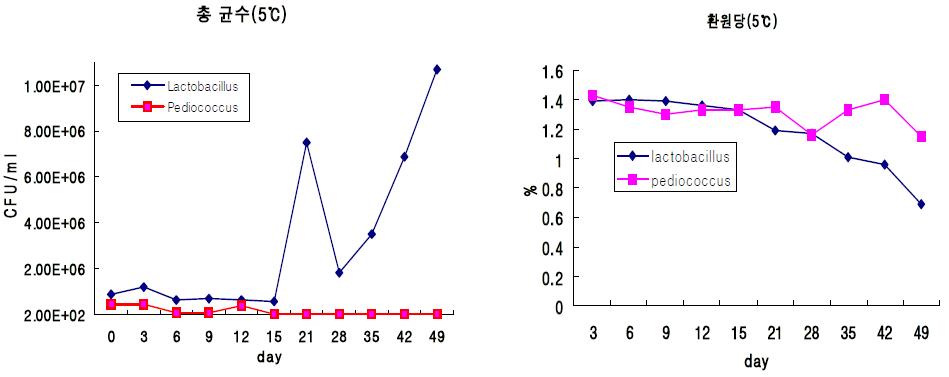 5℃에서 배추즙 발효 중 총균수와 환원당 변화
