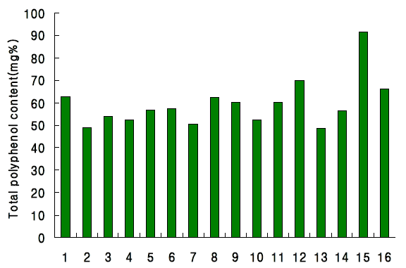 Total polyphenol contents of Kimchis