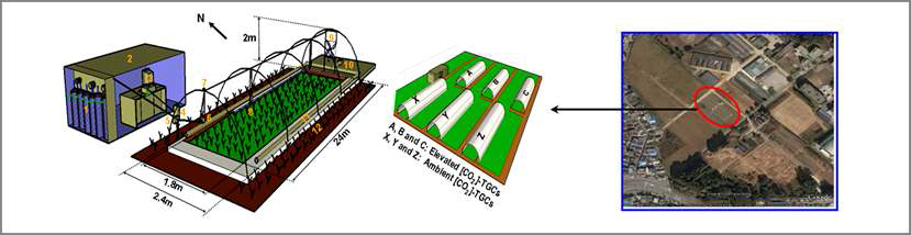Schematic diagram of experimental facility for simulating global warming with/without elevating CO2.