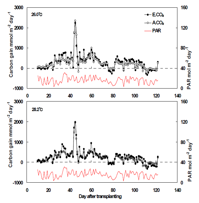 Seasonal changes in carbon gain of rice (cv. Ilmibyeo) canopy exposed to either near ambient temperature (top) or experimental warming (bottom) under ambient and elevated CO2. Seasonal changes of photosynthetically active radiation (PAR) data were given.