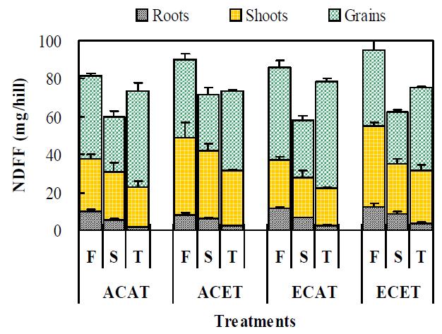 The amount of NDFF (N derived from fertilizer) applied at different growth stage (F, first at tranplanting; S, second at tillering; T, third at panicle initiation) in rice compartments as affected by CO2 and temperature conditions. Treatment codes are described in Table 1.