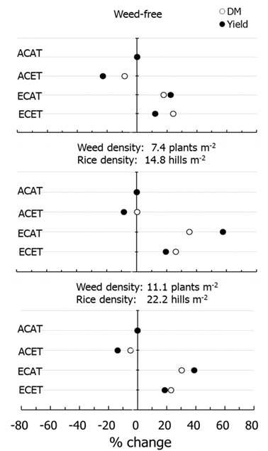 Percent change in aboveground dry mass (DM) and yield of rice as affected by weed density under combination treatments of CO2 and air temperatures