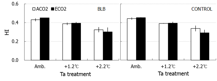 Harvest index (HI) of rice crops infected (BLB)/non-infected (CONTROL) by bacterial leaf blight (BLB) under combination treatments of CO2 and air temperature (Ta).