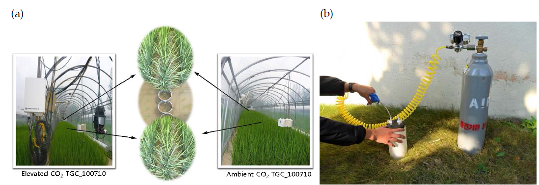 (a) Experiments for investigating origins of CO2 from paddy soils and estimating C sequestration potentials of paddy soils and (b) CO2 trap for determining CO2 emission.