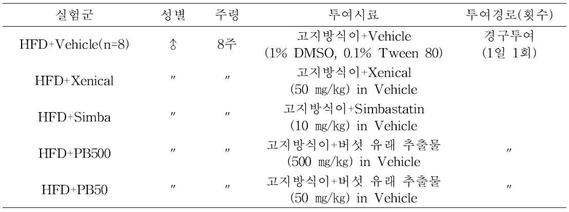 장수상황버섯 항산화 폴리페놀의 항비만 효능 검정을 위한 동물실험군