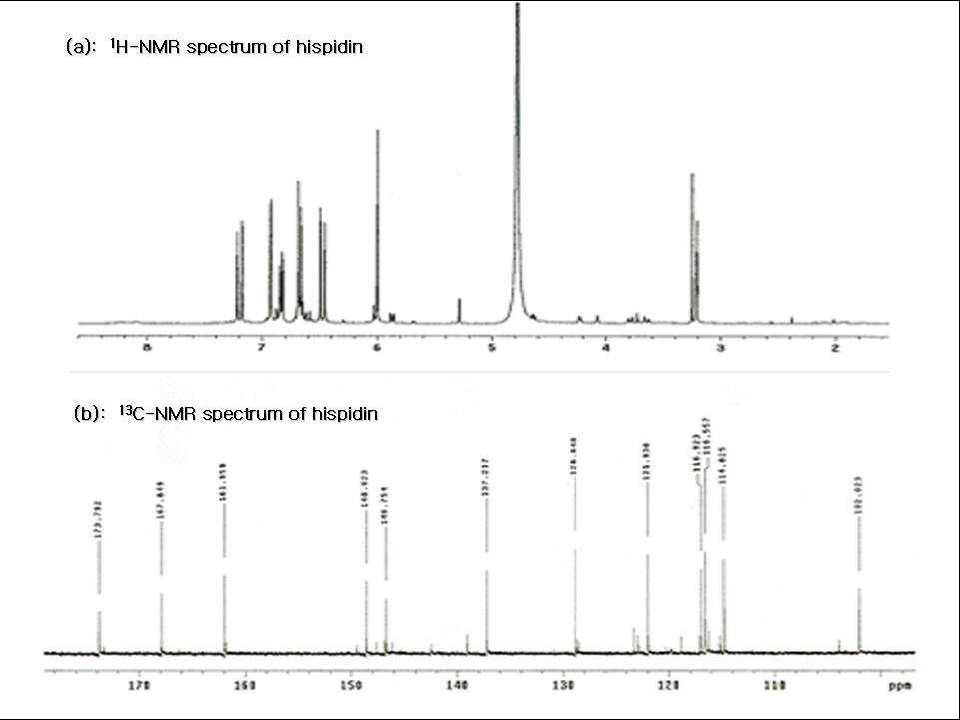 Hispidin의 1H NMR 및 13C NMR spectrum.