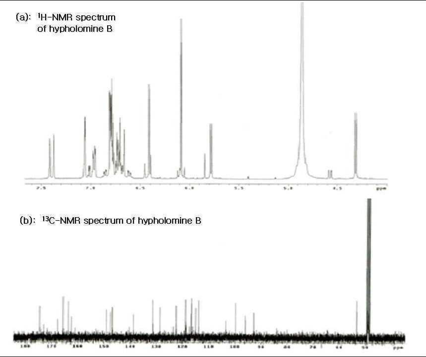 Hypholomine B의 1H NMR 및 13C NMR spectrum.