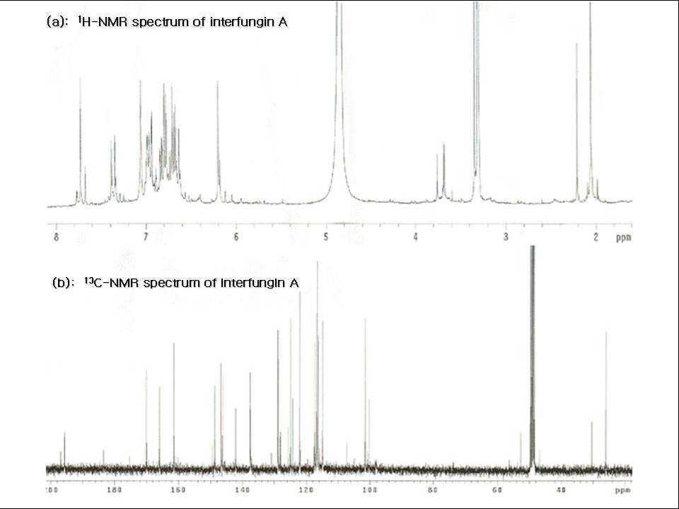 Interfungin A의 1H NMR 및 13C NMR spectrum.