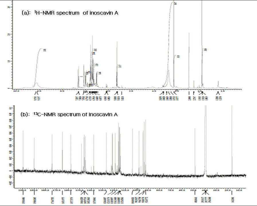 Inoscavin A의 1H NMR 및 13C NMR spectrum.