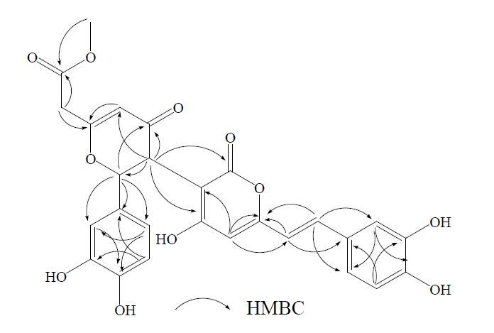 Baumin (Pb211)의 HMBC correlation.