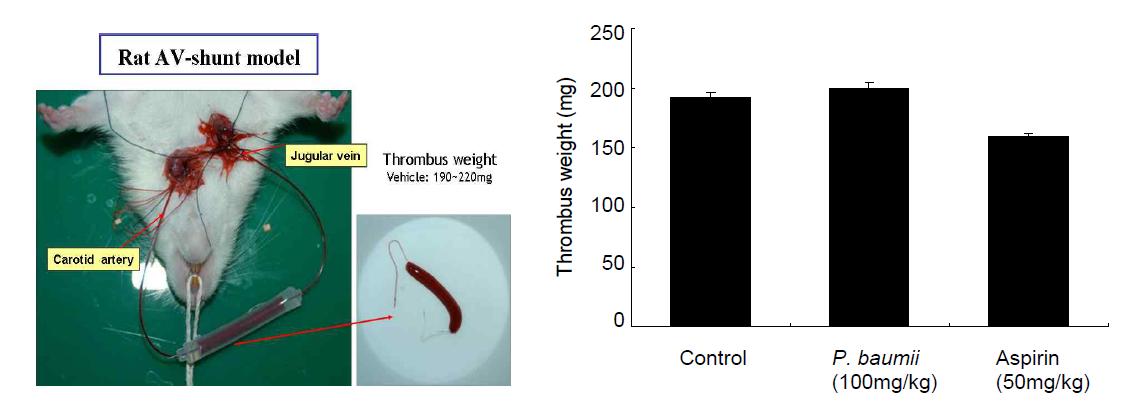 장수상황버섯 유래 항상화 폴리페놀의 thrombus formation에 미치는 효과.