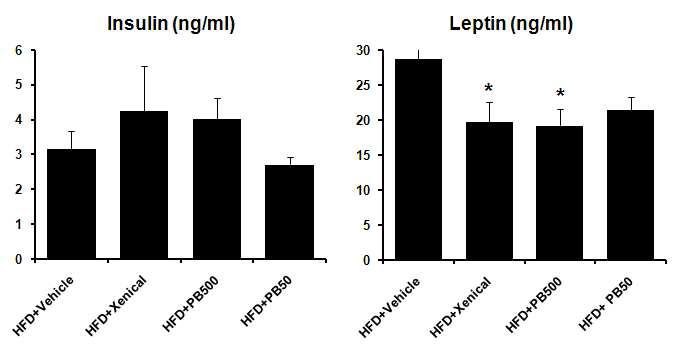 고지방식이를 섭취시킨 C57BL/6 마우스에서 농산버섯 유래의 항산화소재 (PB)의 투여에 따른 혈중 인슐린 (n=5 per group) 및 렙틴 (n=5 per group)의 변화.