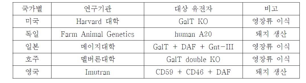 세계 바이오장기용 형질전환 복제돼지 연구 현황