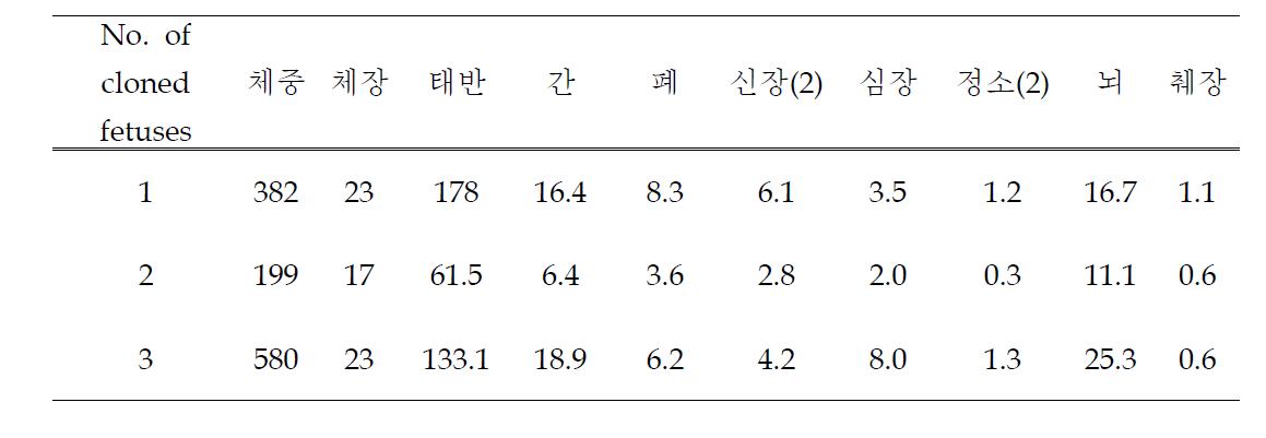 형질전환 복제태아의 체장, 체중 및 기관 무게 측정 (g, cm)