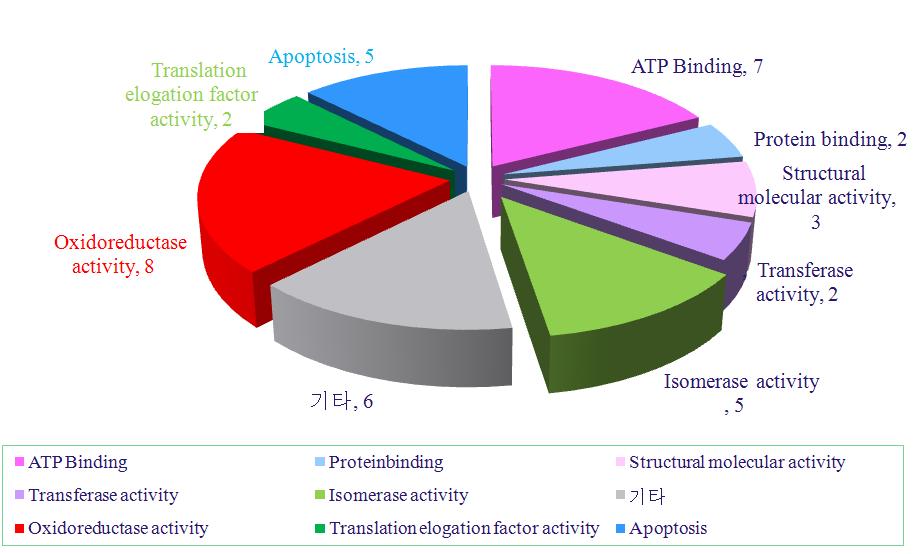 동정 된 단백질의 molecular function 분류