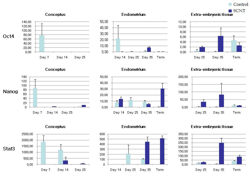 Pluripotent 관련유전자 발현 비교