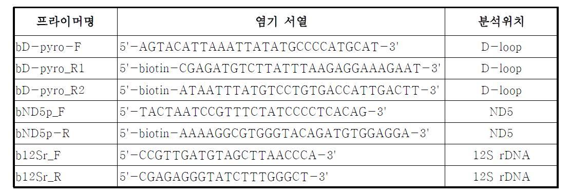 한우의 미토콘드리아 DNA의 ND5, D-loop, 12S rDNA 유전자의 프라이머명 및 염기 서열