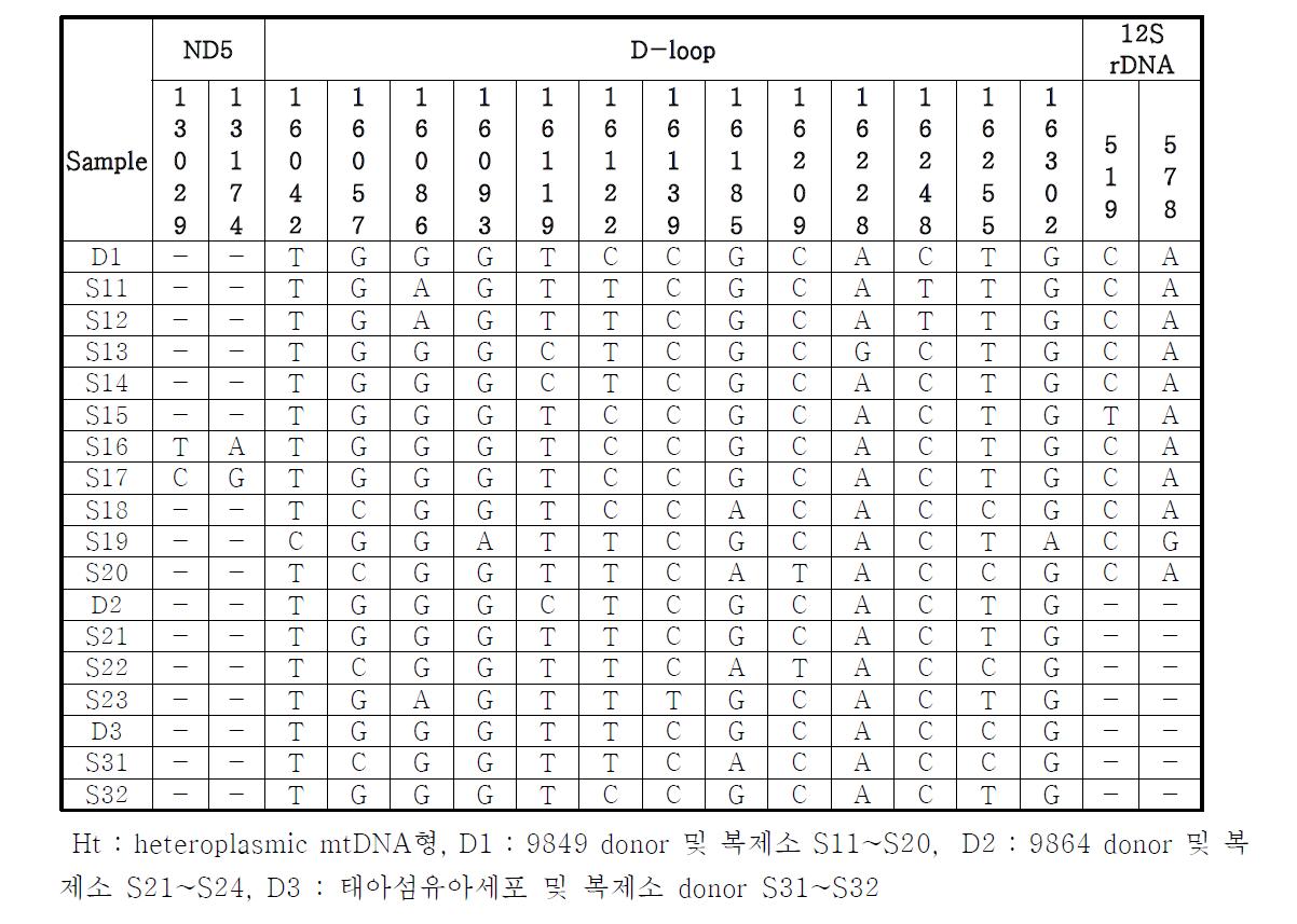 한우 복제소 15두 및 공여소 3두의 미토콘드리아 DNA의 ND5, D-loop, 12S rDNA 영역과 염기서열 변이영역 분석결과