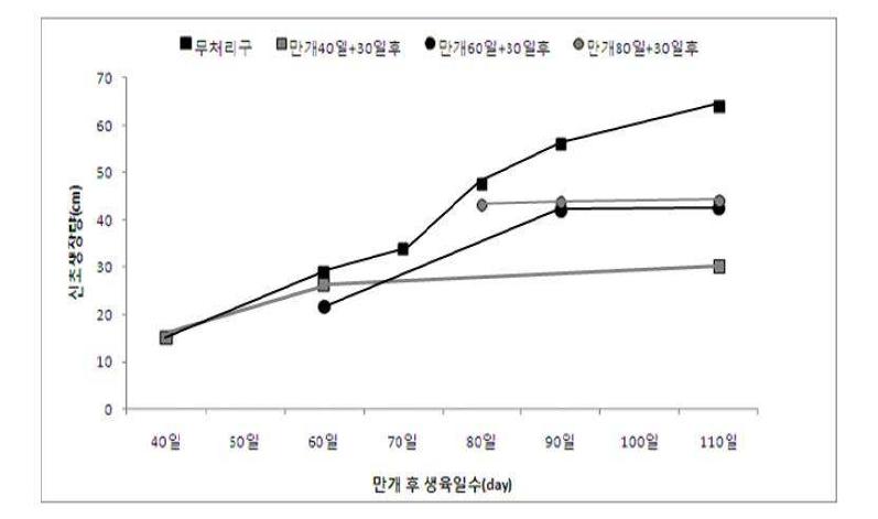 적심처리 시기별 신초생장량 변화.