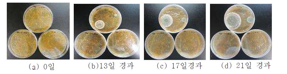 개발된 복숭아 잼에 대한 자몽종자추출물의 분무에 의한 곰팡이 증식 억제 효과(0일부터 21일 경과)(위: 대조구, 아래 좌로부터 0.05% DF100 용액 분무, 0.1% DF100 용액 분무)