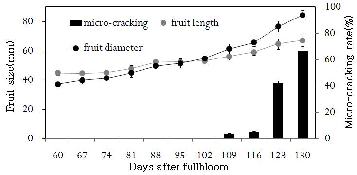 Fruit growth pattern and the incidence of micro-cracking in ‘Jinmi’ peaches.