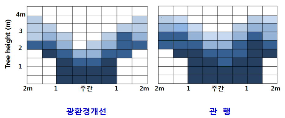 Y자형의 수관내 광환경 분표