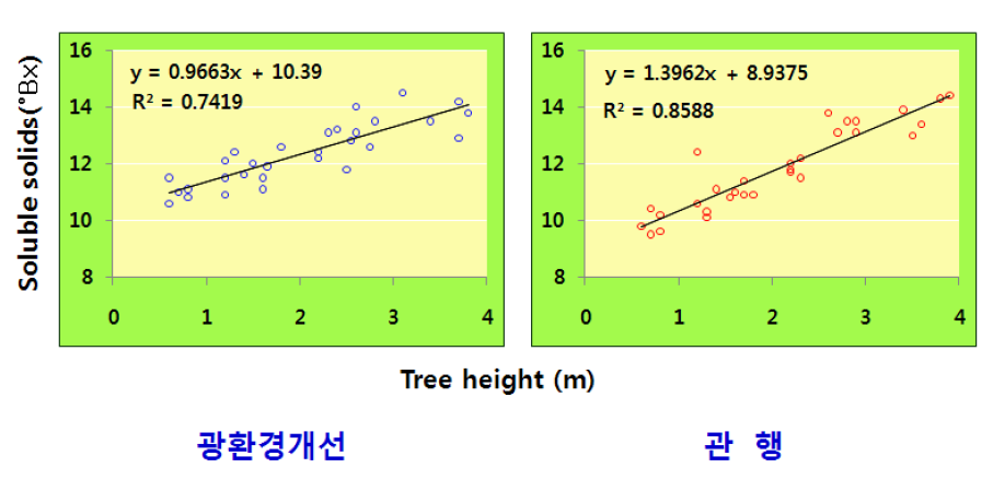 광환경개선에 따른 수관높이별 과실품질