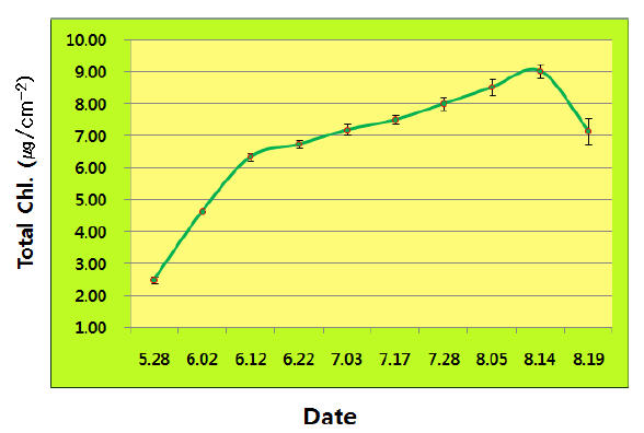 경시적 엽록소 함량의 경시적변화
