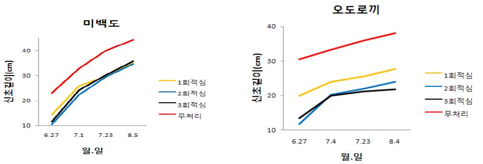 신초 적심 회수에 따른 신초생육변화