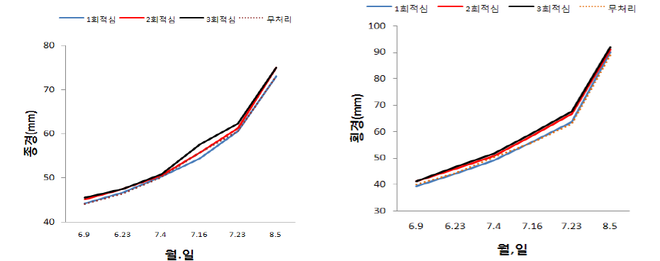 신초적심회수에 따른 미백도 과실 생육