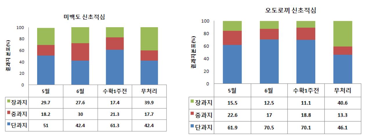 신초적심 시기에 따른 결과지 분포