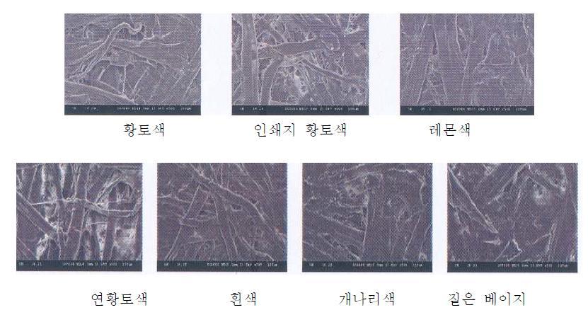 복숭아 봉지 종류별 표면 관찰